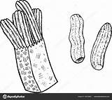 Churros Coloring Illustration Vector Doodle Adults Stock Ink Spani Spanish Food Depositphotos sketch template