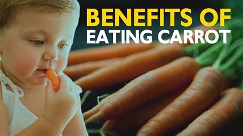 5 Amazing Health Benefits Of Eating Carrot Youtube