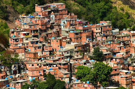 cacador de acoes os pobres   favela