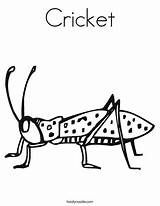 Cricket Coloring Worksheet Pages Insect Crickets Animal Printable Kids Twistynoodle Print Noodle Outline Insects 15th 19th June Favorites Login Add sketch template