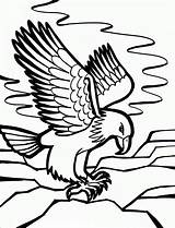 Eagle Bald Coloring Pages Printable Kids Color Bird Birds sketch template
