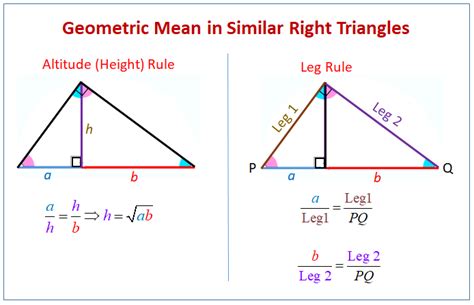 similar triangles  circles   triangles examples solutions worksheets