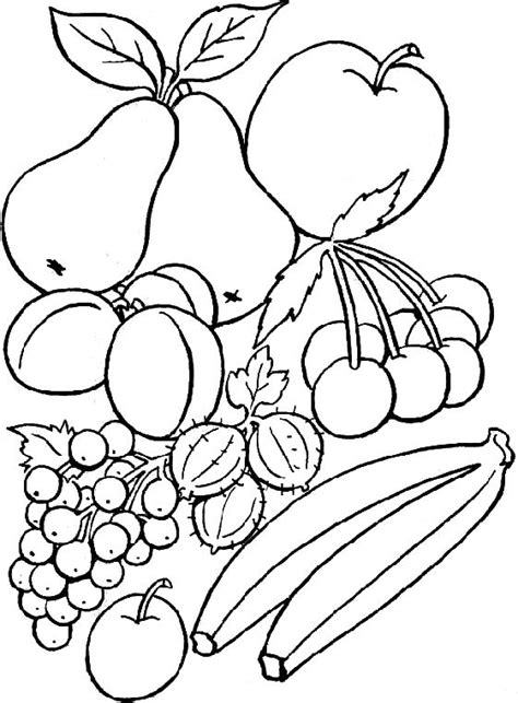 fruit basket coloring pages drawings coloring pages coloring pictures