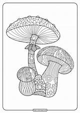 Fungi sketch template