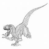 Jurassic Coloring Velociraptor Pages Raptor Dinosaur Park Printable Dinosaurs Kids Lego Print Countdown Ford Color Template Sheets Drawings Drawing Cast sketch template