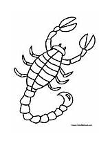 Scorpion Coloring Pages Animals Color Scorpions Colormegood sketch template