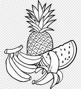 Frutas Colorir Bota Pngwing Tropicais Links sketch template