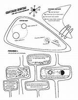 Miss Proxima Centauri Exoplanet Coloring Pages sketch template