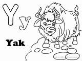 Coloring Yak Pages Letter Popular Coloringhome sketch template
