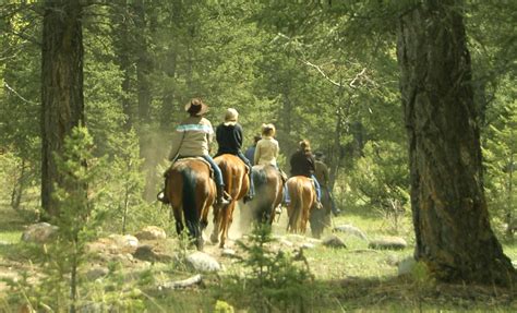 guided horseback trail rides glacier national park   saddle