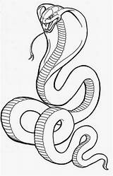 Snake Cobra Coloring Pages King Colouring Choose Board sketch template