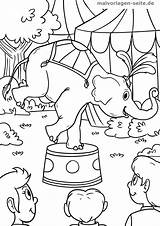 Zirkus Elefant Malvorlage Malvorlagen Elefanten Ausmalbild Ausmalen Klick öffnet Kostenlose sketch template