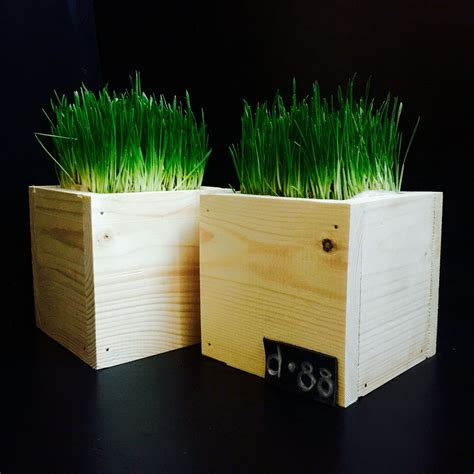 box  grass outdoor storage box plywood boxes outdoor storage