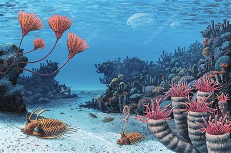 trilobites   early devonian artwork stock image