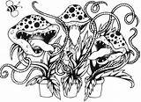 Venus Fly Trap Coloring Pages Carnivorous Plant Drawing Sheet Plants Activities Traps Getdrawings Kids Learning Children Visit sketch template