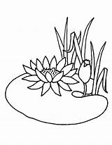 Pond Coloring Pages Lotus Flower Drawing Animals Water Flowers Summer Color Getcolorings Lily Growing Chinese Surprising Drawings Getdrawings sketch template