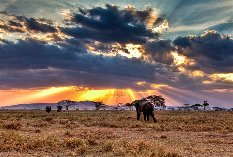Budget Travel In Serengeti National Park Budget Travel Guide
