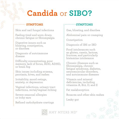 How Do I Know If I Have Candida Or Sibo Amy Myers Md