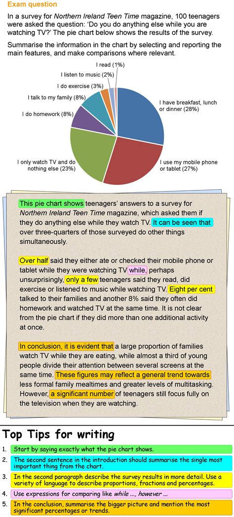 analytical paragraph writing examples  class  pie chart