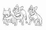 French Bulldog Coloring Pages Adult Search Google Graphics Animated Gifs Breeds Akc Quilts Colouring Embroidery Bulldogs sketch template