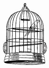 Cage Gabbia Kleurplaat Uccellino Kooi Jaula Jaulas Oiseaux Oiseau Kleurplaten Schoolplaten Educol sketch template