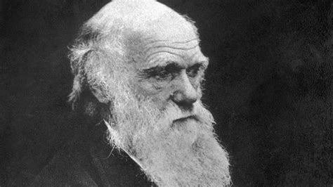 10 Things You May Not Know About Charles Darwin History