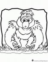 Gorilla Woojr sketch template