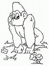 Gorilla Scimmie Disegni Aap Mewarnai Kleurplaten Affe Monyet Malvorlagen Chimpanzee Gorila Apen Kleurplaat Grote Colorare 2826 Singe Animasi Animierte Bambini sketch template