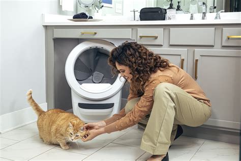 why is my cat peeing outside the litter box litter robot