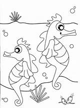 Coloring Pages Seahorse Print Library Clipart Cartoon Printable Comments sketch template