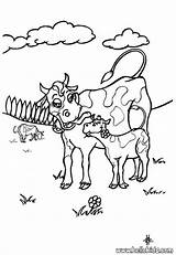 Vaca Colorir Cow Bezerro Hellokids sketch template