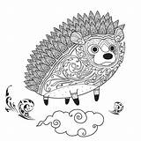 Hedgehog Coloring Doodle Drawn Hand Adult Artistic Illustration Zentangle sketch template
