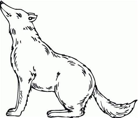 printable wolf coloring pages  kids coloring pages  print