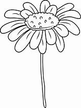 Daisy Clipart Clip Flower Coloring Outline Cliparts Pages Line Sweetclipart Library Clipground sketch template