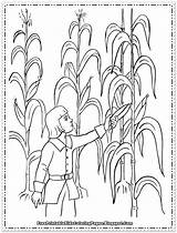 Corn Coloring Printable Pages Kids Field Sheet Sheets Colouring Harvest Preschool Harvesting Lovely Indian Children Cob Cartoon Candy Overflows Cup sketch template
