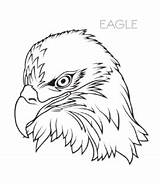 Eagle Coloring Pages Head Magnificent Bald sketch template