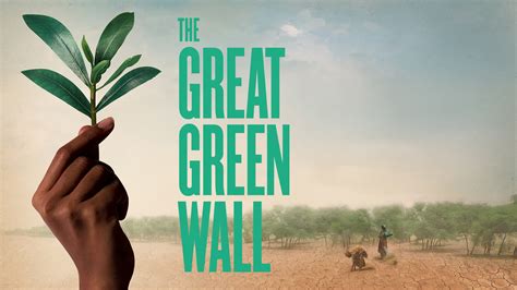 kino  demand  great green wall