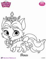 Whisker Skgaleana Dibujalandia Coloring4free Mascota Puppy Kleurplaat Kleurplaten Coloriage Seashell Palacio Ausmalbilder Imprimir Prinses Zo Danieguto Stemmen Erstellen Kalender sketch template