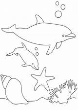 Delfini Lumba Delfine Ikan Golfinhos Mewarna Kertas Página Pianetabambini Halaman Kidipage Druckbare Haiwan sketch template