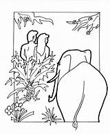 Adam Eve Eden Garden Coloring Pages Color Printable Drawing Story Paradise Kids Bible Elephant Getcolorings Getdrawings sketch template