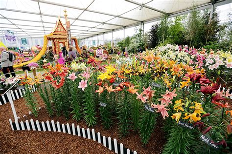 Chelsea Flower Show 2012 In Pictures Life And Style The Guardian
