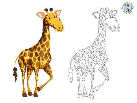 coloring page  giraffe giraffe color images stock  vectors