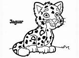 Jaguar Coloring Cartoon Cheetah Pages Drawing Baby Easy Clipart Cute Kids Clip Animal Outline Printable Simple Getdrawings Drawings Head Draw sketch template