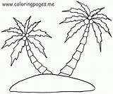 Coloring Tree Coconut Palm Comments sketch template