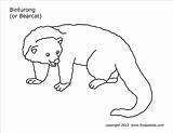 Bearcat Printable Binturong Coloring Pages Firstpalette sketch template