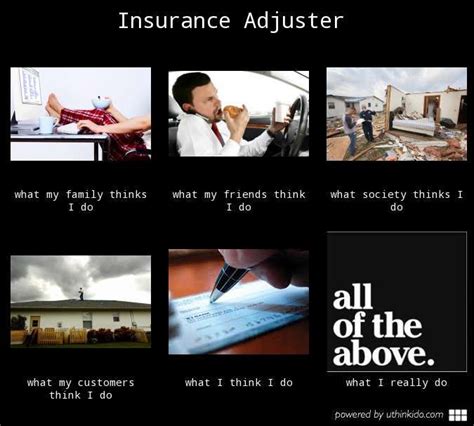 insurance adjuster  people