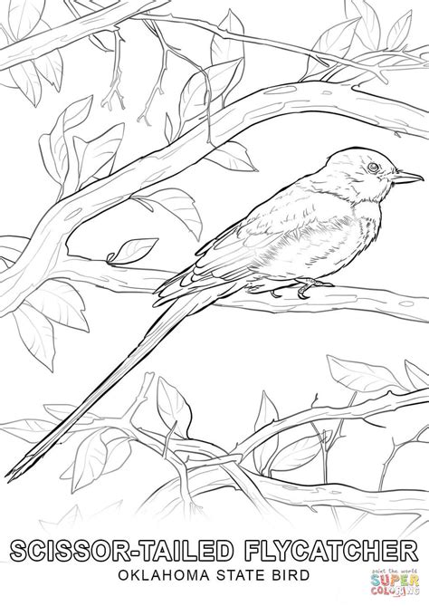 bird coloring pages bird coloring bird coloring page