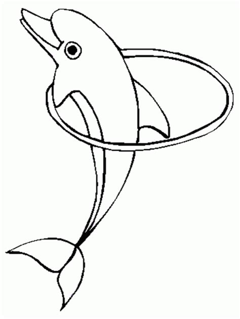baby dolphin coloring pages coloring home