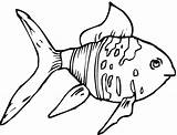 Goldfish Kolorowanki Rybki Ryby Coloringme Wydrukowania sketch template