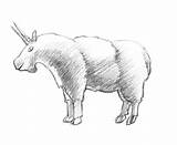 Mountain Simple Drawing Getdrawings Goat sketch template